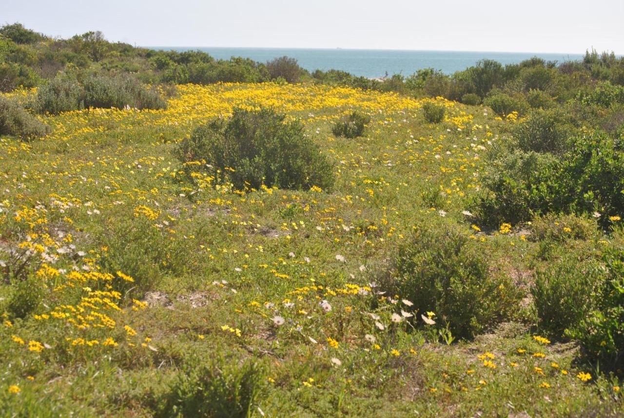 Stay At Bokkoms In Paternoster Self Catering Accommodation 外观 照片
