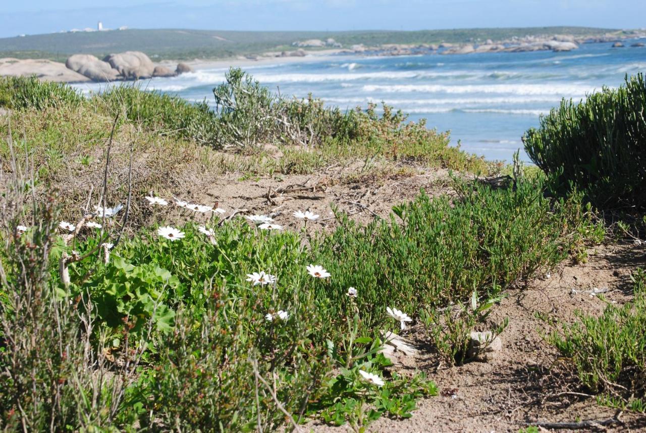 Stay At Bokkoms In Paternoster Self Catering Accommodation 外观 照片