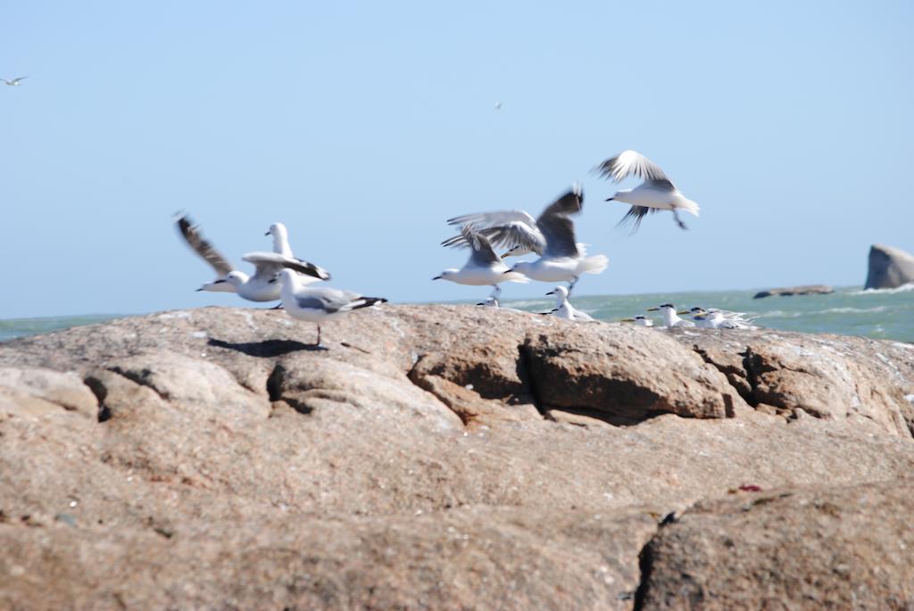 Stay At Bokkoms In Paternoster Self Catering Accommodation 外观 照片