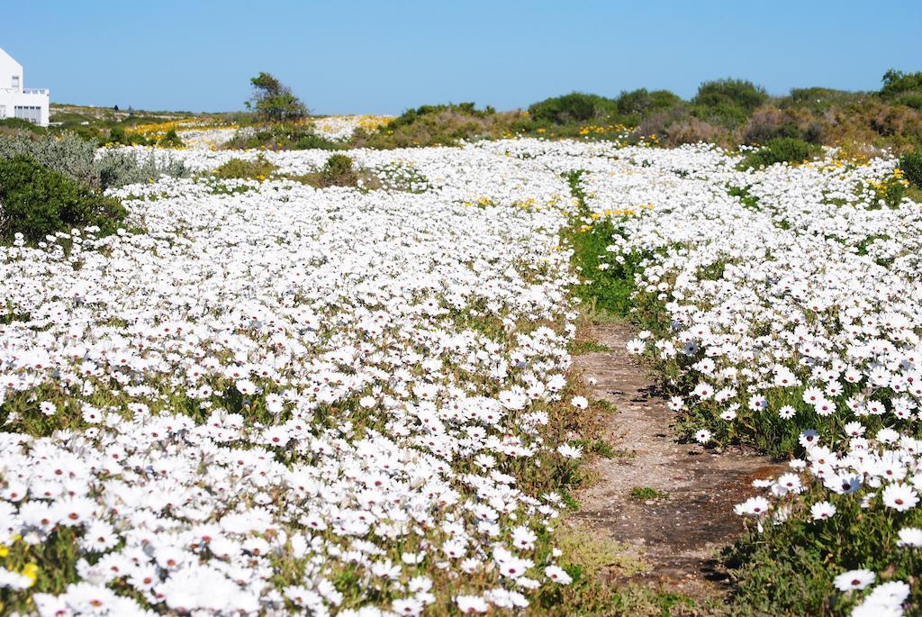 Stay At Bokkoms In Paternoster Self Catering Accommodation 外观 照片